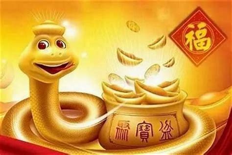 属蛇|属蛇的出生年份表年龄